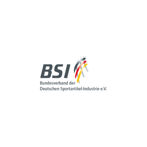 Logo BSI