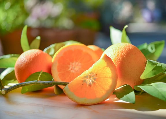 aufgeschnittene Orangen